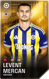 Levent Mercan - limited