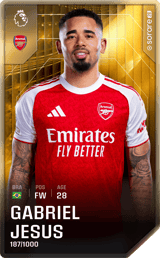 Gabriel Jesus - limited