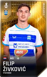 Filip Živković - limited