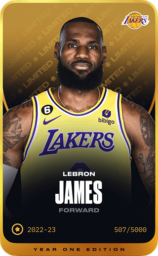 LeBron James - limited