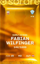 Fabian Wilfinger - limited