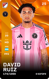 David Ruíz - limited