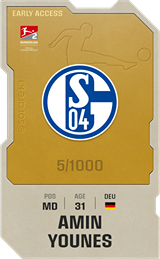 Amin Younes - limited