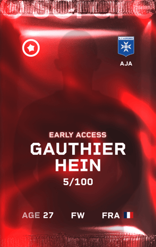 Gauthier Hein - rare