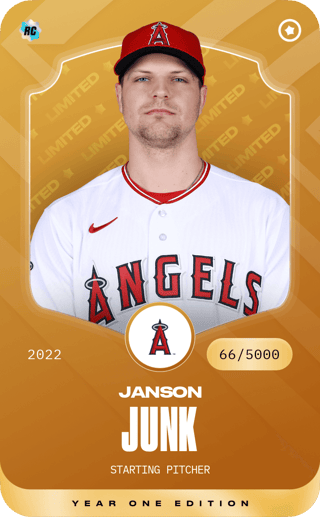 Janson Junk - limited