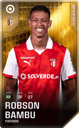 Robson Bambu - limited