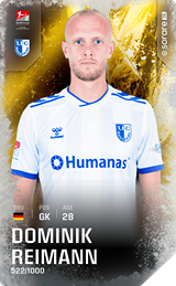 Dominik Reimann - limited