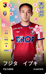 Ibuki Fujita - limited