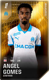 Angel Gomes - limited