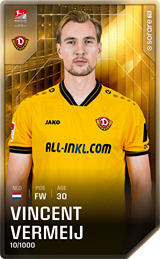 Vincent Vermeij - limited