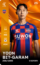 Yoon Bit-Garam - limited