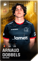 Arnaud Dobbels - limited