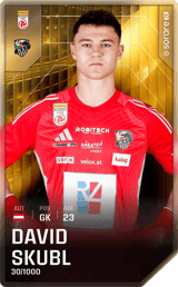 David Skubl - limited