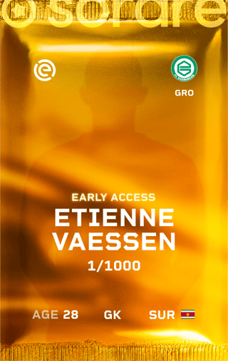 Etienne Vaessen