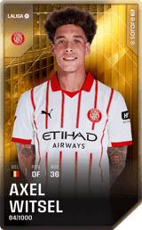 Axel Witsel - limited