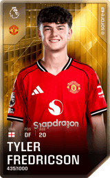 Tyler Fredricson - limited