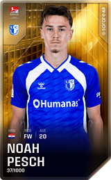 Noah Pesch - limited
