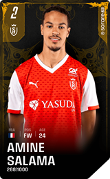 Amine Salama - limited