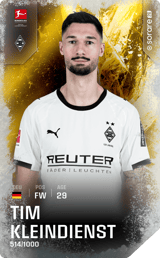Tim Kleindienst - limited