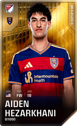 Aiden Hezarkhani - limited