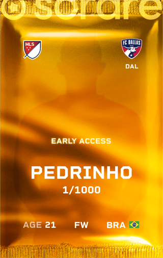Pedrinho