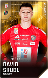David Skubl - limited