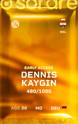 Dennis Kaygin - limited