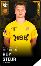 Roy Steur - limited