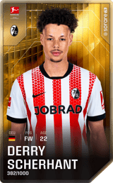 Derry Scherhant - limited