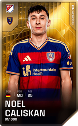 Noel Caliskan - limited