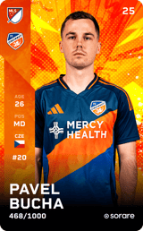 Pavel Bucha - limited