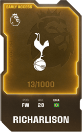 Richarlison - limited