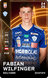 Fabian Wilfinger - limited