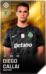 Diego Callai - limited