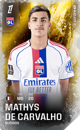 Mathys de Carvalho - limited