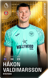 Hákon Valdimarsson - limited