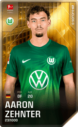 Aaron Zehnter - limited