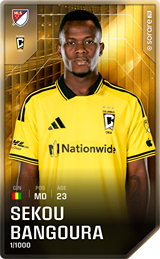 Sekou Bangoura - limited