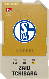 Zaid Amoussou-Tchibara - limited