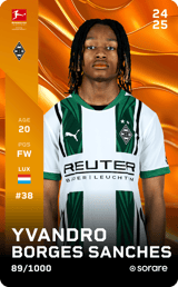 Yvandro Borges Sanches - limited