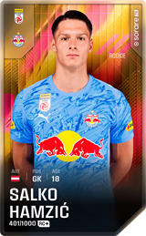 Salko Hamzić - limited