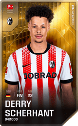 Derry Scherhant - limited