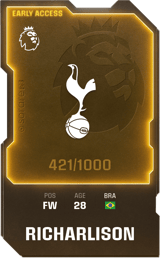 Richarlison - limited