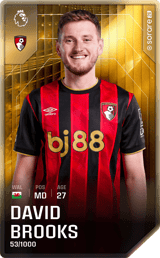 David Brooks - limited