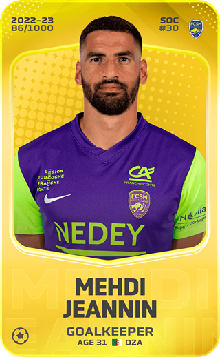 Mehdi Jeannin - limited