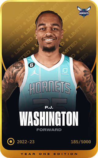 P.J. Washington - limited