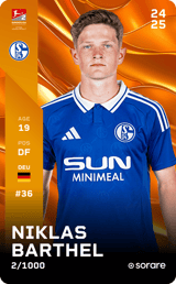 Niklas Barthel - limited