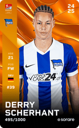Derry Scherhant - limited