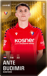 Budimir - limited