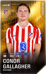 Conor Gallagher - limited